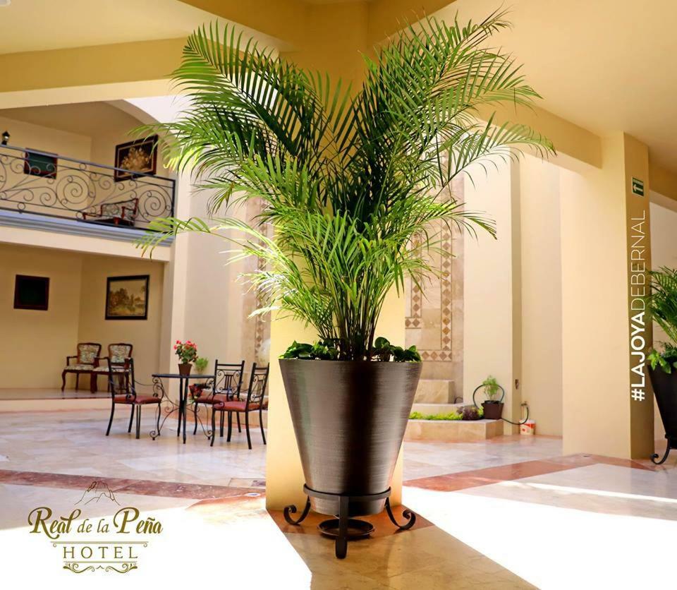 Hotel Real De La Pena Bernal Ngoại thất bức ảnh